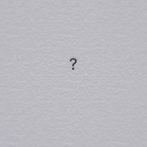 Meet your Posher, Abigail